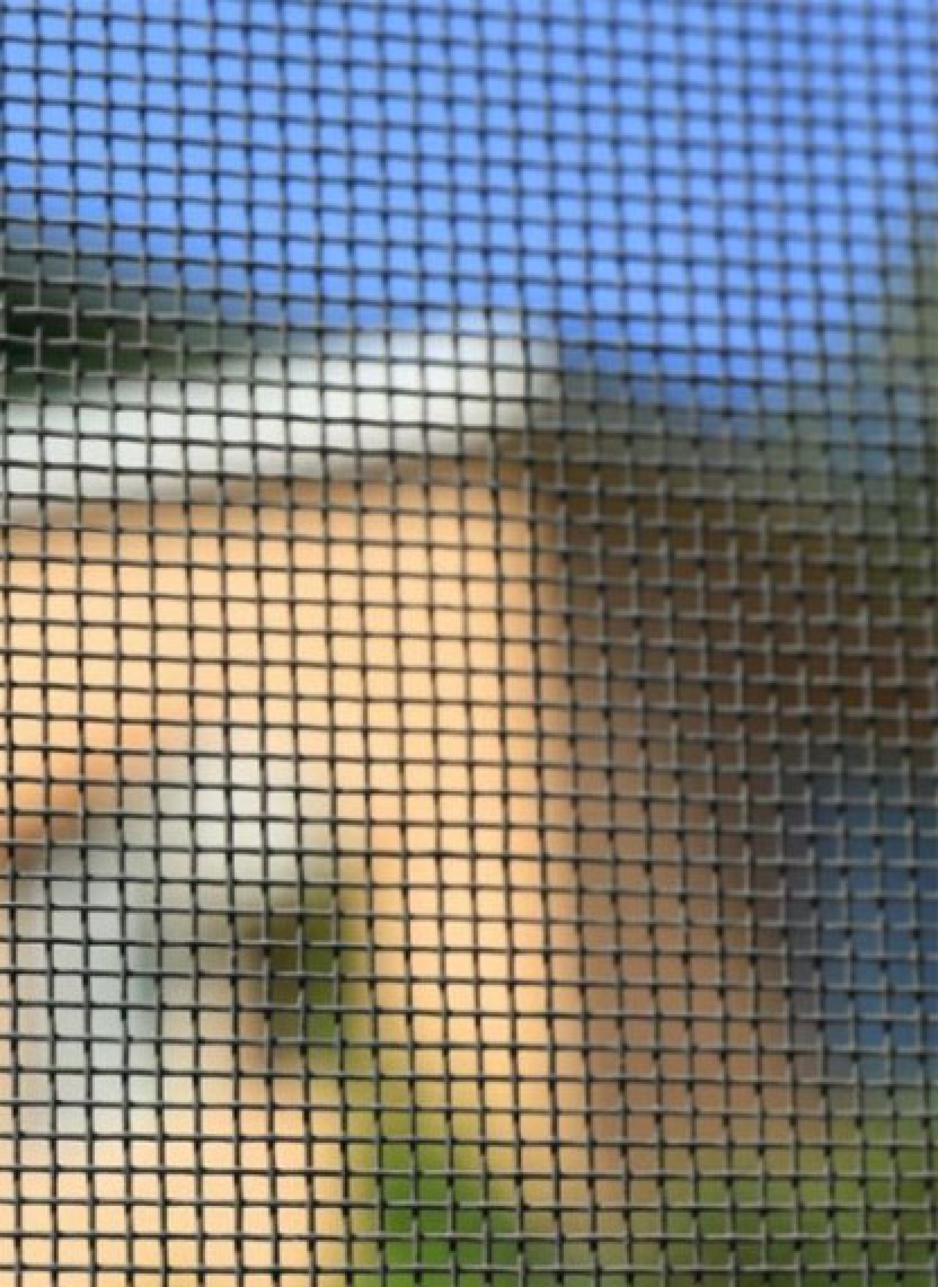 Mosquito nets	 - Roller mosquito nets